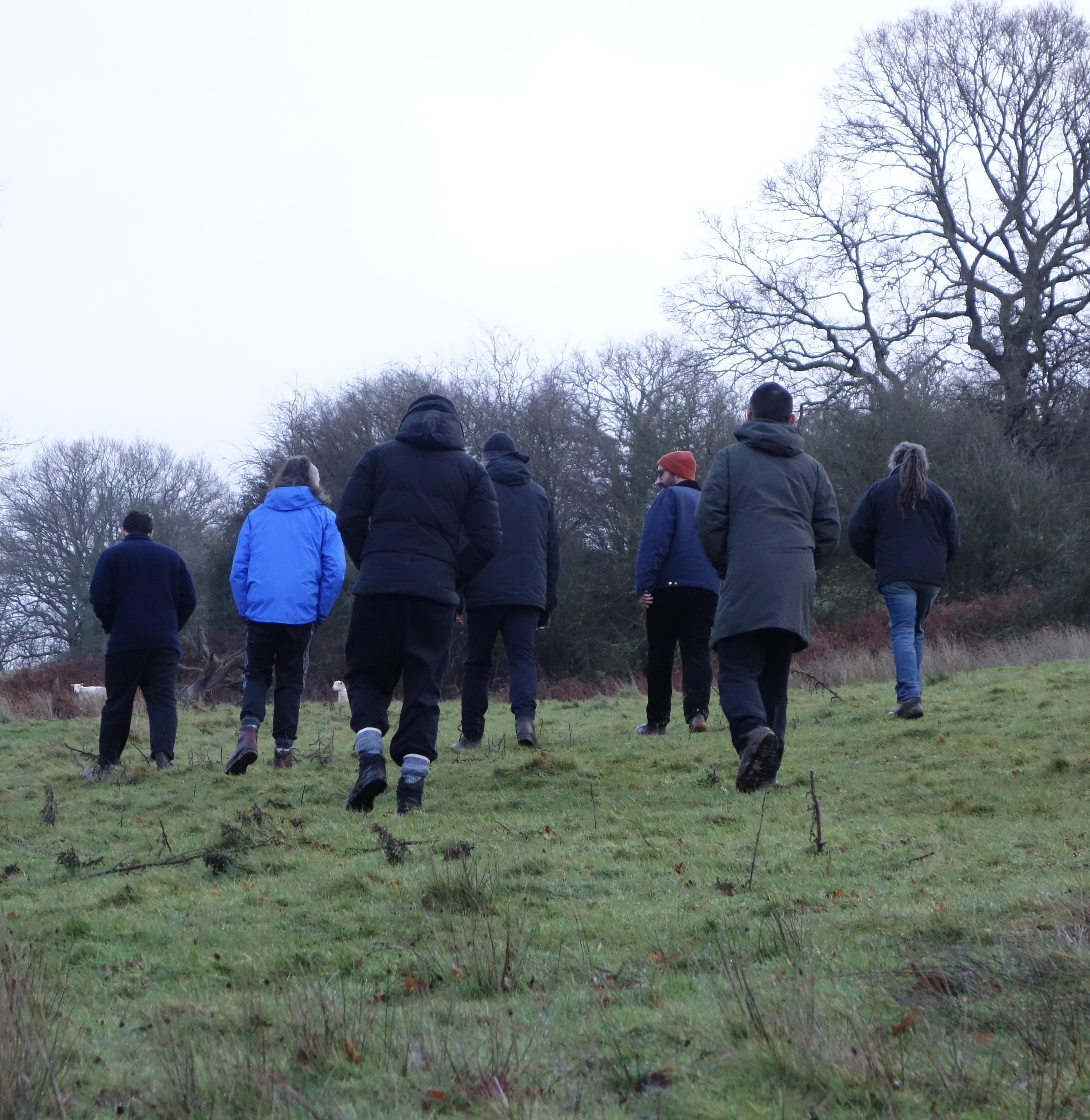 Members of The Foundation walking together outdoors